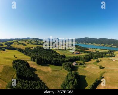 Drohnenbild, Agrarlandschaft, Zell am Moos am Irrsee, Salzkammergut, Oberösterreich, Österreich Stockfoto