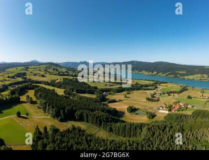 Drohnenbild, Agrarlandschaft, Zell am Moos am Irrsee, Salzkammergut, Oberösterreich, Österreich Stockfoto