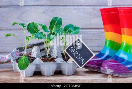 Recycelte Eierbox verwendet, um Setzlinge wachsen, mit Kindern Regenbogen wellingtons Stiefel, auf der Werkbank, My Garden Text, nachhaltige Lifestyle-Konzept. Stockfoto