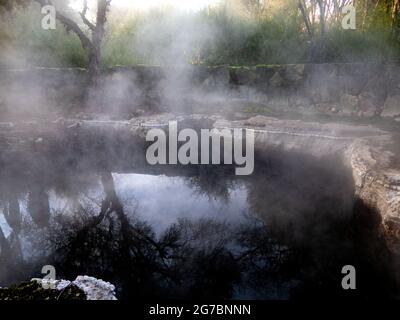 Dampfende geothermische Mineralbäder, die aus Sicherheitsgründen abgezäunt sind, sind eine Touristenattraktion im Kuirau Park, Rotorua, Neuseeland Stockfoto