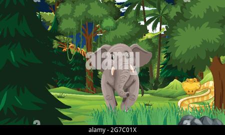 Wald bei Nacht Szene mit verschiedenen wilden Tieren Illustration Stock Vektor