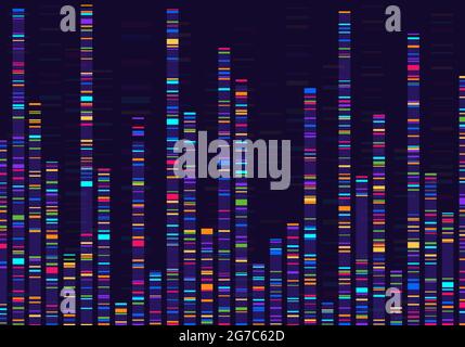 Visualisierung genomischer Daten. Genkartierung, dna-Sequenzierung, Genom-Barcoding, genetische Marker-Map-Analyse Infografisches Vektorkonzept. Medizinische Chromosomenforschung, Labor für Mikrobiologie Stock Vektor
