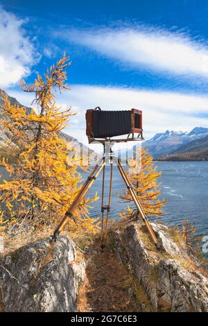 Vintage-Plattenkamera auf Holzstativ Stockfoto
