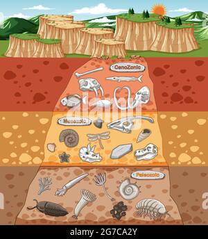 Szene mit verschiedenen Tieren Knochen und Dinosaurier Fossilien in Bodenschichten Illustration Stock Vektor