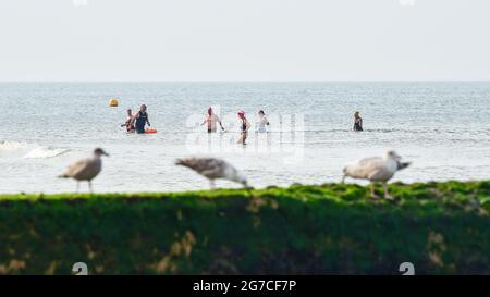 Brighton UK 13. Juli 2021 - Schwimmer am frühen Morgen genießen die Ebbe und die Sonne vor dem Strand von Brighton, da in den nächsten Tagen das heiße Wetter in Großbritannien eintreffen wird, wobei die Temperaturen bis zum Wochenende die hohen 20 Grad erreichen werden: Credit Simon Dack / Alamy Live News Stockfoto