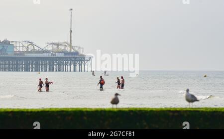 Brighton UK 13. Juli 2021 - Schwimmer und Paddle-Boarder am frühen Morgen genießen die Ebbe und die Sonne vor dem Brighton Beach, da in den nächsten Tagen das heiße Wetter in Großbritannien erwartet wird und die Temperaturen bis zum Wochenende die hohen 20 Grad erreichen werden: Credit Simon Dack / Alamy Live News Stockfoto