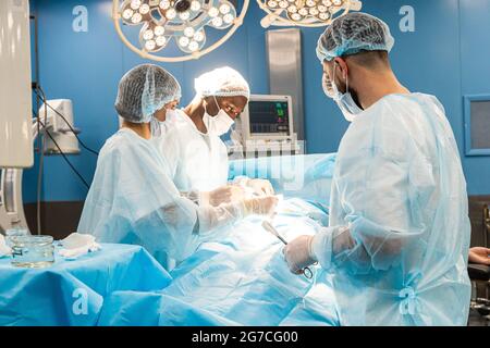 Ein internationales Ärzteteam führt eine komplexe chirurgische Operation an einem unter Anästhesie stehenden Patienten durch. Moderner Operationssaal und erfahrene Chirurgen Stockfoto