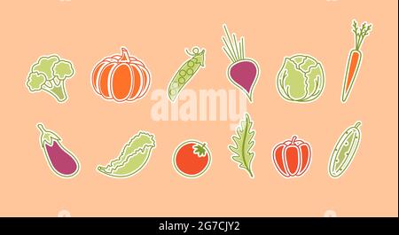 Set aus Gemüse Tomaten Gurken Pfeffer Rucola Kürbis Pfeffer Kohl Brokkoli Erbsen Salat Karotten Rüben. Vektorgrafik. Stock Vektor