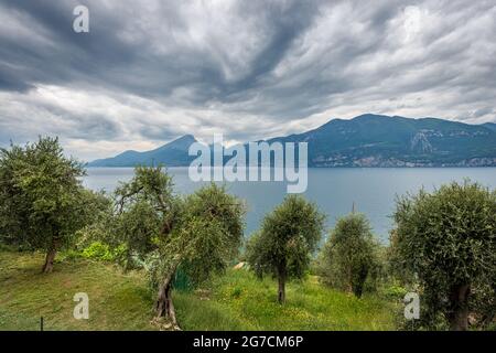 Lago di Garda. Gardasee mit der Lombardei und Venetien Küste. Kleines Dorf von Castelletto di Brenzone, Brenzone sul Garda, Verona, Italien, Europa. Stockfoto