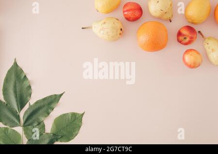 Sommerliche Früchte und Blätter auf einem hellorangen Hintergrund. Stockfoto