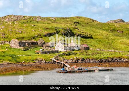 Ruinierte Croft in Voe of Clousta am Westufer des Festland Shetland. Stockfoto