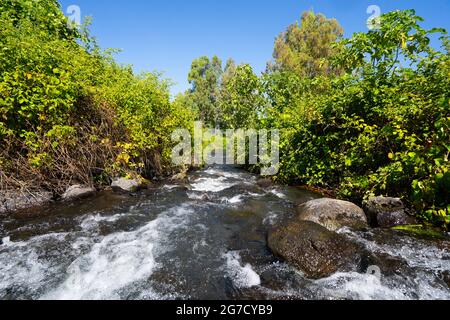 Ein Tina (AKA ein Notera) eine natürliche Wasserquelle in den Golanhöhen, Israel. Der größte Teil des Wassers wird von lokalen Bauern und Kibbuzim für irrig gesammelt Stockfoto