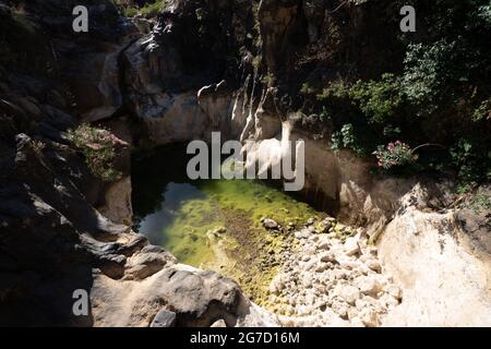 Israel, Golan-Höhen, Saar Bach und Wasserfall Naturschutzgebiet Stockfoto