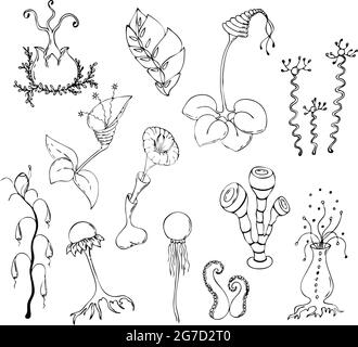Fantastische Pilze und Pflanzen im kritzelnden Stil, Kontur Handzeichnung, isoliert. Vektorgrafik Stock Vektor