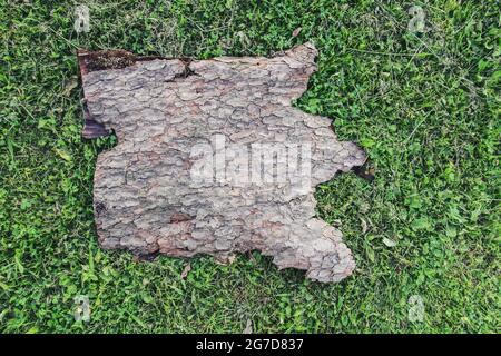 Stück Baumrinde mit rauer natürlicher Textur auf grünem Gras. Stockfoto