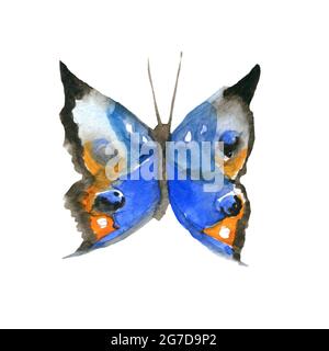Aquarell Schmetterling Set Aquarell Malerei für Ihr Design Stockfoto