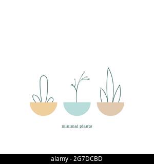 Minimale Pflanzen. Pflanztöpfe mit Zitat. Vektorgrafik, flaches Design Stock Vektor