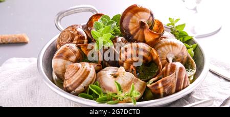 Köstliche gekochte Seefracht-Schnecken in einer Pfanne auf einem grauen Tisch. Schnecken gebacken mit Sauce, gebackene Schnecken mit Butter und Gewürz . Traditionelle französische Küche. Kopierbereich. Nahaufnahme Stockfoto