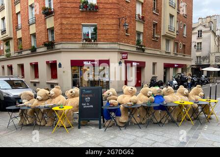 TEDDYBÄR IN PARIS Stockfoto