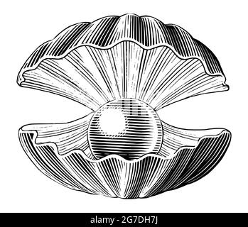 Pearl Hand zeichnen Vintage Gravur Stil schwarz und weiß Clip Art isoliert auf weißem Hintergrund Stock Vektor