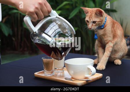 Der Kellner gießt Kaffee in eine Tasse auf dem Tisch und auf dem Tisch sieht eine orangefarbene Katze mit blauem Kragen, die den Kaffee anschaut. Gartenatmosphäre. Stockfoto
