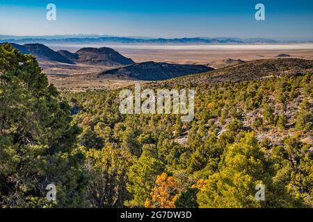 Tule Valley, Snake Range in Nevada im bezirk, Pinyon-Wacholder-Wald, von der Straße im Swasey Mountain Massiv, House Range, Great Basin Desert, Utah, USA Stockfoto