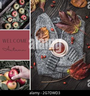 Willkommen im Herbst. Collage aus drei Bildern mit Äpfeln, Hagebutten und Herbstblättern. Stimmungsbrett. Vorlage für soziale Medien. Stockfoto