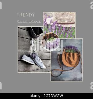 Lavendel Blumen und Mode. Collage aus vier Bildern. Stimmungsbrett. Vorlage für soziale Medien. Stockfoto