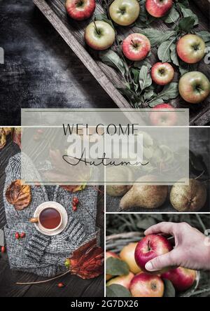 Willkommen im Herbst. Collage aus drei Bildern mit Äpfeln, Birnen, Hagebutten und Herbstblättern. Stimmungsbrett. Vorlage für soziale Medien. Stockfoto