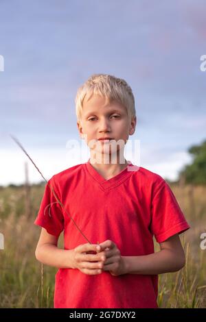 Ein Junge mit Tränen verletzten Augen in einem roten T-Shirt auf dem Feld im Sommer. Die Manifestation einer allergischen Reaktion, Heuschnupfen auf die Blüte der Kräuter. Stockfoto