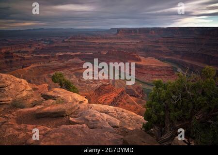 Über diesem spektakulären Blick auf den Colorado River Gooseneck im Dead Horse Point State Park in Utah sammeln sich abendliche Sturmwolken. Stockfoto