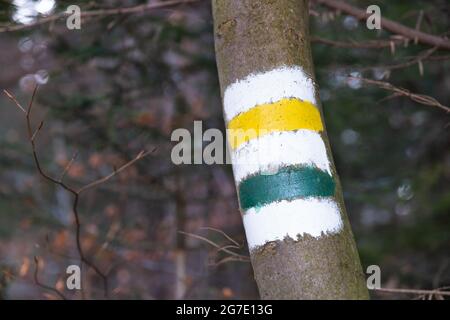 Markierung der touristischen Route auf dem Baum gemalt. Wegweiser. Stockfoto