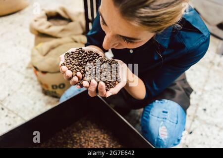 Barista Frau testet das Aroma von frischen Kaffeebohnen Schnüffeln Stockfoto