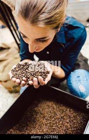 Barista Frau testet das Aroma von frischen Kaffeebohnen Schnüffeln Stockfoto