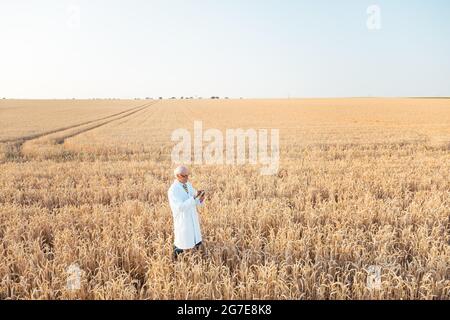 Agrarwissenschaftler, der Forschung in Korntest Feld Tracking-Daten, Weitwinkel Stockfoto