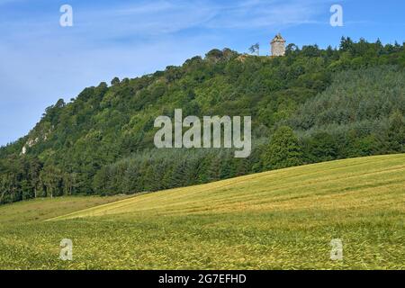 Fatlips Castle, eine Ikone der schottischen Grenzen, thront auf den Minto Crags mit Blick über Teviotdale, vorbei an Denholm und Bedrule, auf den berühmten Ruberslaw-Hügel. Stockfoto