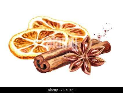 Getrocknete Orangenscheiben, Sternanis und Zimtstange, Weihnachtswürze. Handgezeichnete Aquarelldarstellung isoliert auf weißem Hintergrund Stockfoto