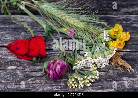 Bouquet von bunten wilden Blumen frisch geschnitten in den Feldern liegen auf dem Holz einer rustikalen Bank als Hintergrund, schaffen eine natürliche Note. Stockfoto