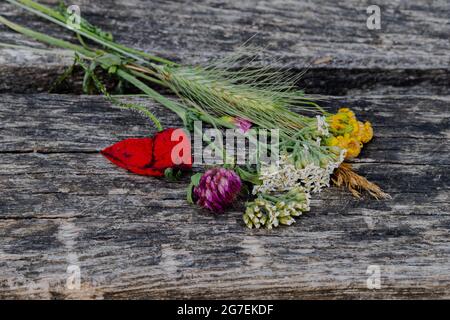 Bouquet von bunten wilden Blumen frisch geschnitten in den Feldern liegen auf dem Holz einer rustikalen Bank als Hintergrund, schaffen eine natürliche Note. Stockfoto