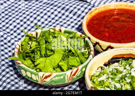 Verschiedene Salatzutaten, Tomatensoße und rohes Gemüse für ein gesundes Frühstück Stockfoto