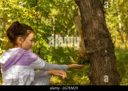 Das Mädchen füttert aus ihrer Hand das Eichhörnchen im Herbstwald. Das Konzept, ein gemeinsames Familienwochenende in der Natur zu verbringen. Stockfoto