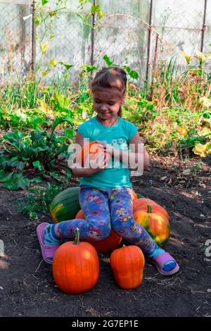 Das Mädchen sitzt auf einem Haufen Kürbisse und hält einen orangen Kürbis in den Händen. Haufen oranger Kürbisse auf dem Feld. Erntekonzept. Stockfoto