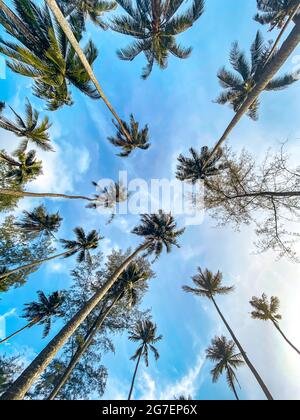 Verlassene Boat Chalet, Geisterschiff in Grand Lagoona, Koh Chang, trat, Thailand Stockfoto