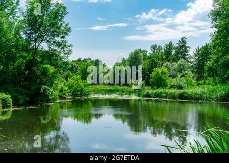 Schöner Laubwald auf dem Hintergrund eines Waldsees an einem hellen sonnigen Tag. Arboretum in Yampol. Yampol. Ukraine. Stockfoto