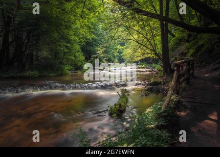 Naturschutzgebiet Kaskaden am Fluss Tanew (Szumy nad Tanwią), Roztocze, Polen. Fluss, der im Sommer durch den grünen Wald fließt. Holzfußbrid Stockfoto