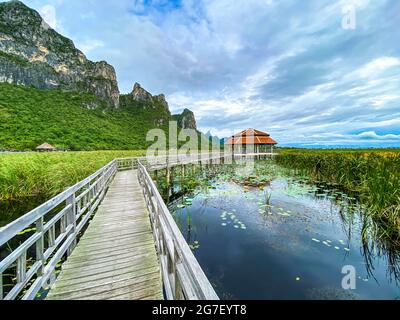 Sam ROI Yot Süßwasser-Marsch, Spaziergang über den Sumpf, Bueng Bua Wood Boardwalk im Sam ROI Yot Nationalpark in Prachuap Khiri Khan, Thailand Stockfoto