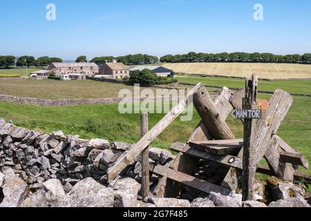 Ein traditioneller Holzstil überragt trockene Steinmauern in der offenen Landschaft von Derbyshire. Ein Bauernhaus befindet sich in der Ferne. Stockfoto