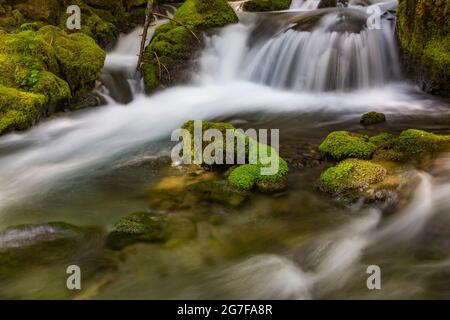 Big Quilcene River auf dem Weg zum Marmot Pass in der Buckhorn Wilderness, Olympic National Forest, Olympic Mountains, Washington State, USA Stockfoto