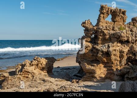 Felsen bei PT Roadknight, Anglesea, Victoria, Australien Stockfoto