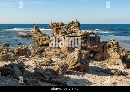 Felsen bei PT Roadknight, Anglesea, Victoria, Australien Stockfoto